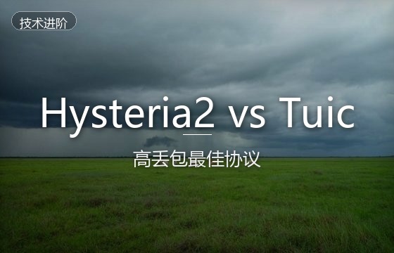 Hysteria2与Tuic协议对比：晚高峰高丢包环境下的最佳UDP翻墙协议选择