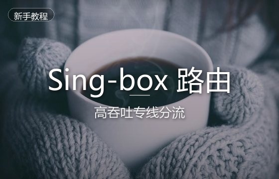 Sing-box在OpenWrt软路由系统下的配置与高吞吐专线分流教程