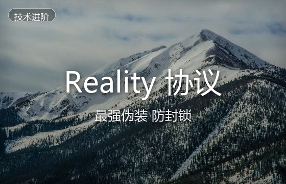 Reality协议科普：什么是Reality协议？安全性与主流客户端配置详解