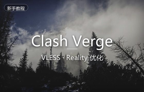 VLESS与Reality协议在Clash Verge中的通用配置与速度优化教程