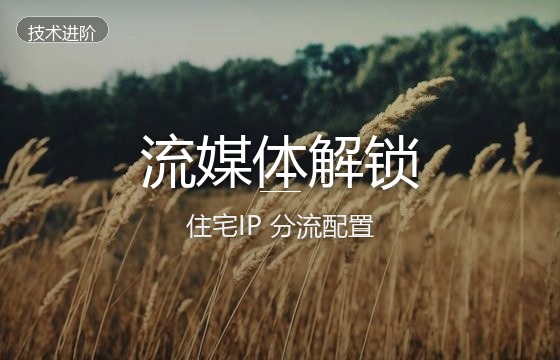 什么是解锁流媒体节点？Netflix/Disney+ 住宅IP分流选择科普与机场推荐